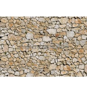 Fototapeta: Muro di pietra (5) - 254x368 cm
