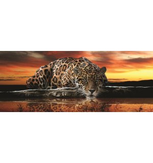 Fotomurale: Giaguaro - 104x250 cm