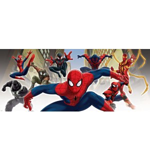 Fotomurale: Spiderman (1) - 104x250 cm