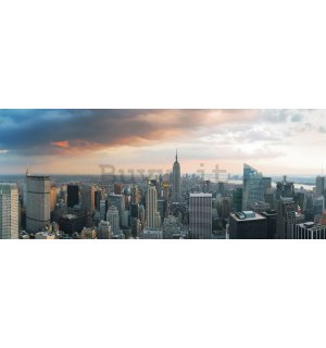 Fotomurale: Manhattan - 104x250 cm