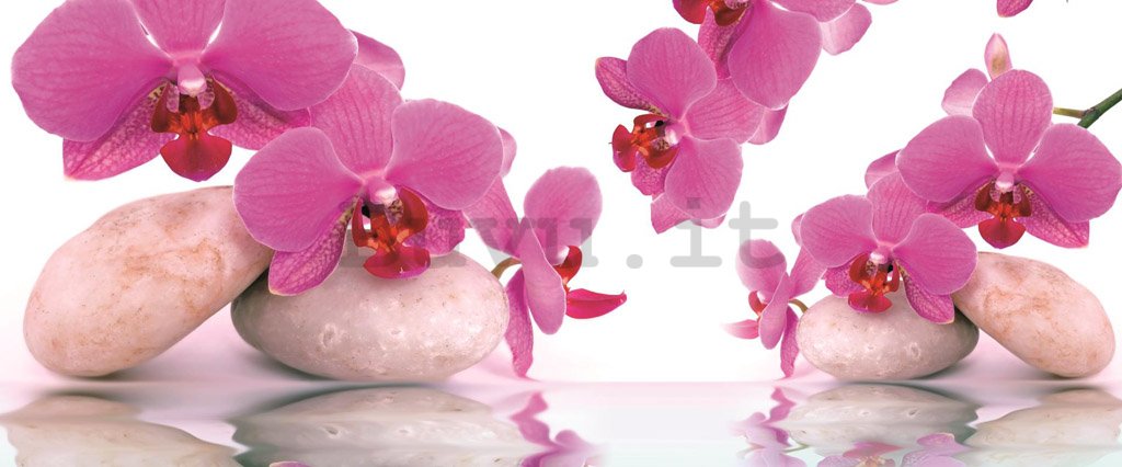 Fotomurale: Orchidea e pietre - 104x250 cm