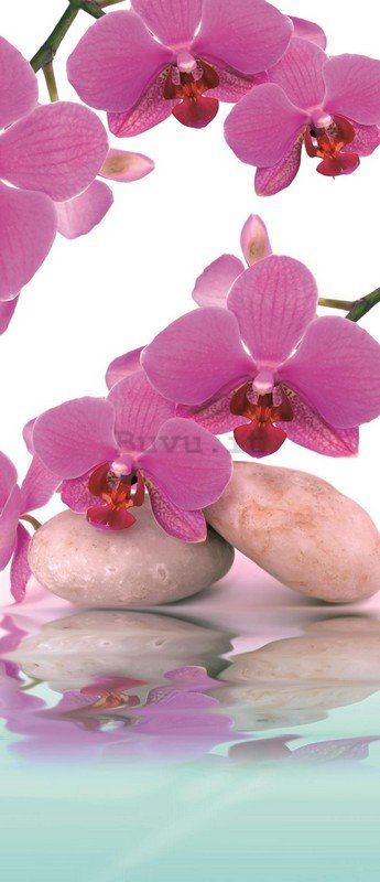 Fotomurale: Orchidea e pietre - 211x91 cm