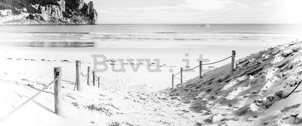 Fotomurale: Spiaggia sabbiosa (in bianco e nero) - 104x250 cm
