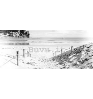 Fotomurale: Spiaggia sabbiosa (in bianco e nero) - 104x250 cm
