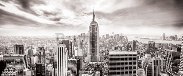 Fotomurale: Vista di New York (in bianco e nero) - 104x250 cm