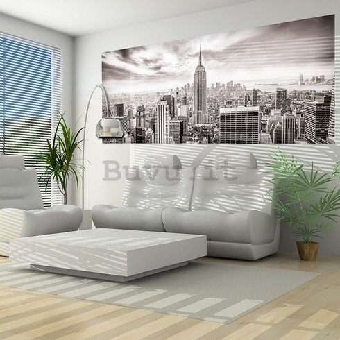Fotomurale: Vista di New York (in bianco e nero) - 104x250 cm