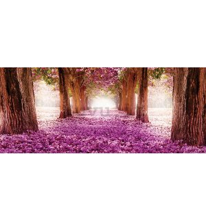 Fotomurale: Viale fiorito (1) - 104x250 cm