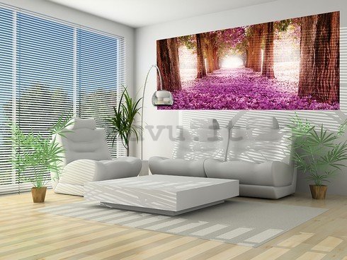 Fotomurale: Viale fiorito (1) - 104x250 cm