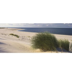 Fotomurale: Spiaggia sabbiosa (1) - 104x250 cm