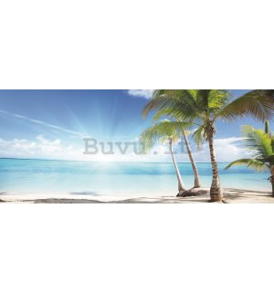Fotomurale: Palme sulla spiaggia - 104x250 cm