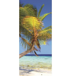 Fotomurale: Spiaggia con palma - 211x91 cm