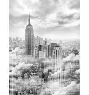 Fotomurale: New York nella nebbia - 254x184 cm