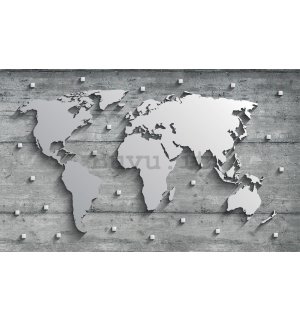 Fotomurale: Mappa del mondo di metallo - 254x368 cm