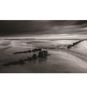 Fotomurale: Costa in bianco e nero - 184x254 cm