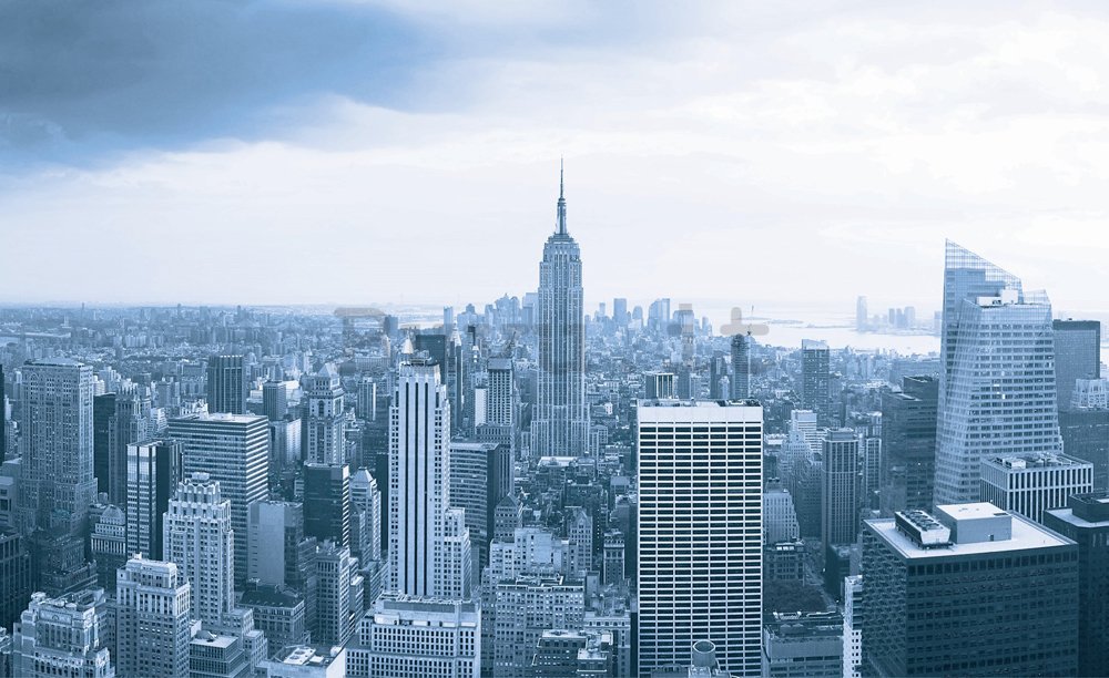 Fotomurale: Vista di Manhattan - 184x254 cm