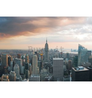 Fotomurale: Manhattan - 184x254 cm