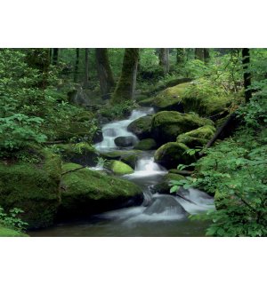 Fotomurale: Ruscello nel bosco (1) - 184x254 cm