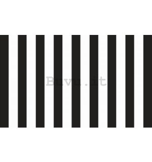 Fotomurale: Strisce bianche e nere - 184x254 cm