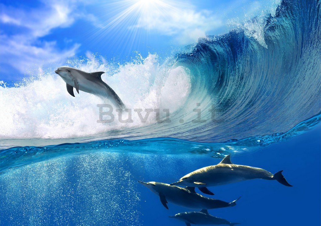 Fotomurale: Delfini - 184x254 cm