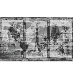 Fotomurale: Parigi (collage) - 184x254 cm