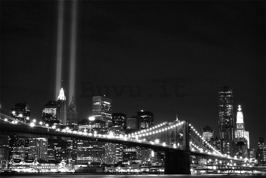 Fotomurale: Brooklyn Bridge in bianco e nero (2) - 184x254 cm