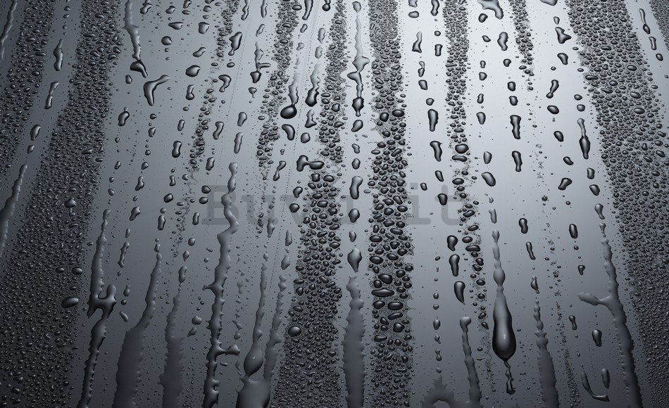 Fotomurale: Gocce di pioggia - 184x254 cm