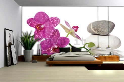 Fotomurale: Orchidea con pietre - 184x254 cm