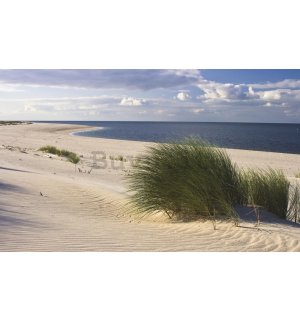 Fotomurale: Spiaggia sabbiosa (1) - 184x254 cm