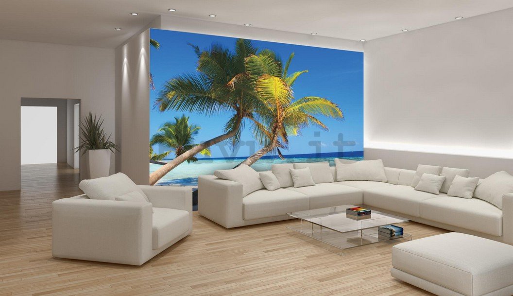 Fotomurale: Spiaggia con palma - 184x254 cm