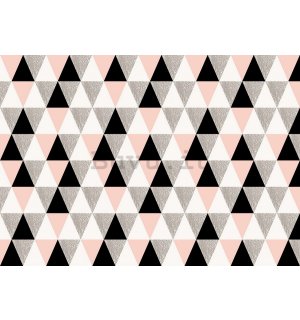 Fotomurale: Triangoli bianchi e neri - 254x368 cm