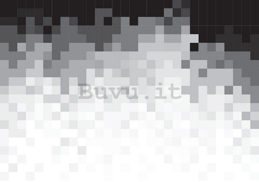 Fotomurale: Pixel in bianco e nero (1) - 254x368 cm