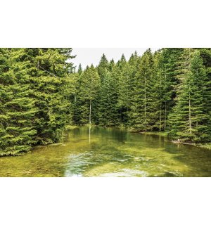 Fotomurale: Stagno nel bosco (2) - 184x254 cm