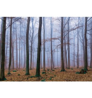 Fotomurale: Nebbia nel bosco (1) - 184x254 cm