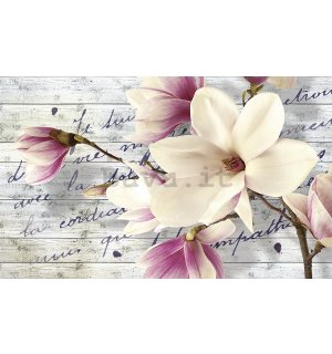 Fotomurale: Magnolia (3) - 254x368 cm