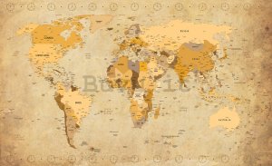 Fotomurale: Mappa del mondo (Vintage) - 184x254 cm