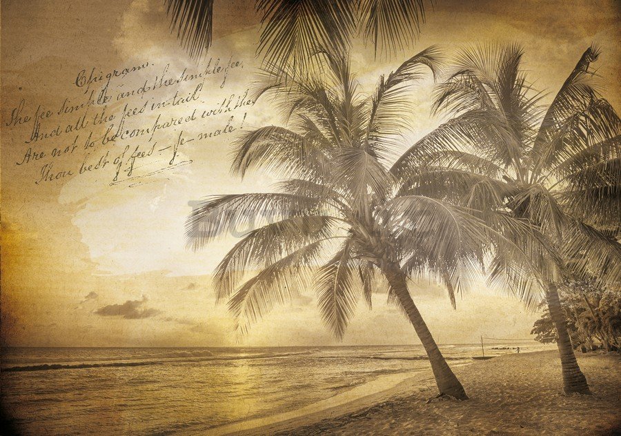 Fotomurale: Spiaggia (Vintage) - 184x254 cm