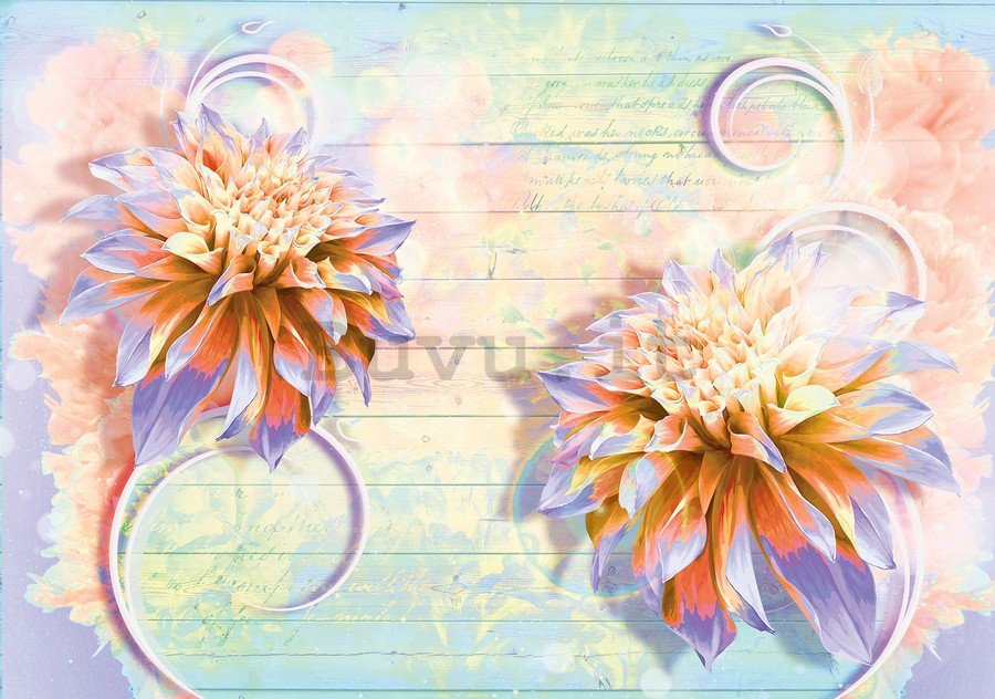 Fotomurale: Crisantemi (1) - 184x254 cm