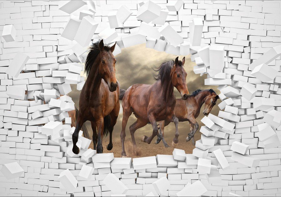 Fotomurale: Cavalli nella parete - 184x254 cm