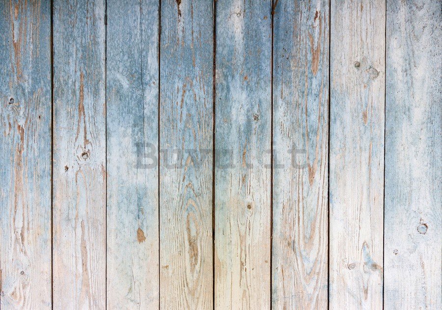 Fotomurale: Pannelli di legno (5) - 254x368 cm