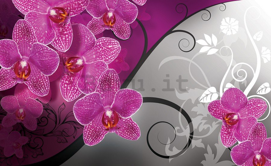 Fotomurale: Orchidee (3) - 184x254 cm