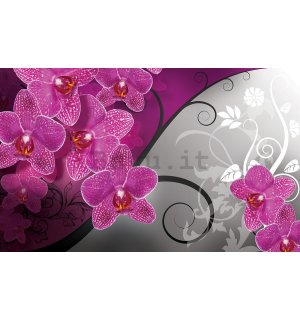 Fotomurale: Orchidee (3) - 184x254 cm