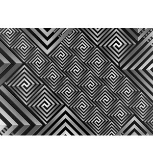 Fotomurale: Astrazione in bianco e nero (1) - 254x368 cm