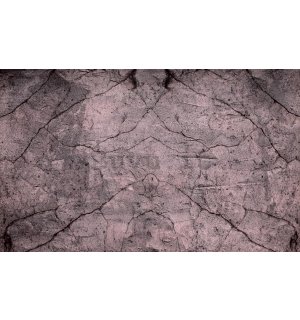 Fotomurale: Muro di pietra (6) - 184x254 cm