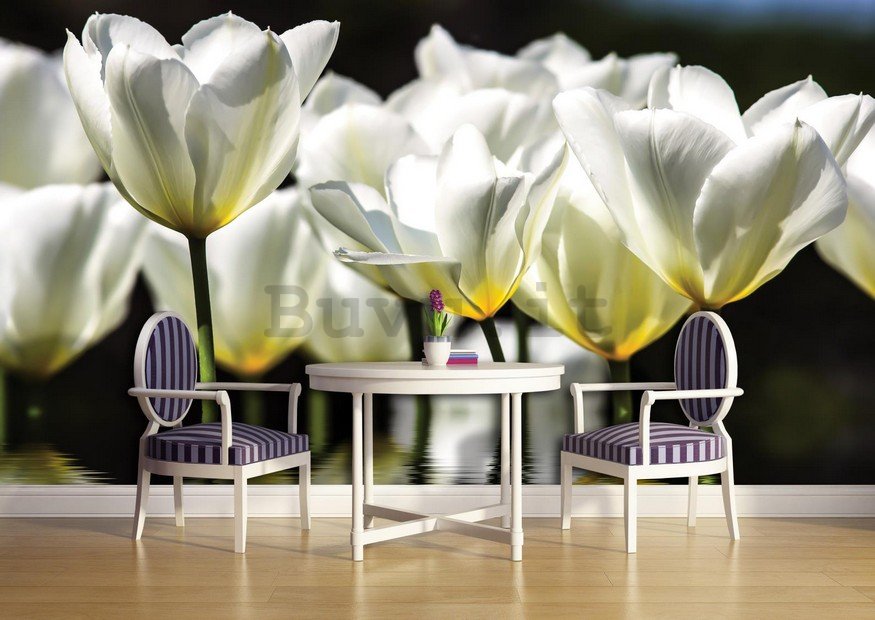 Fotomurale: Tulipani bianchi (2) - 184x254 cm