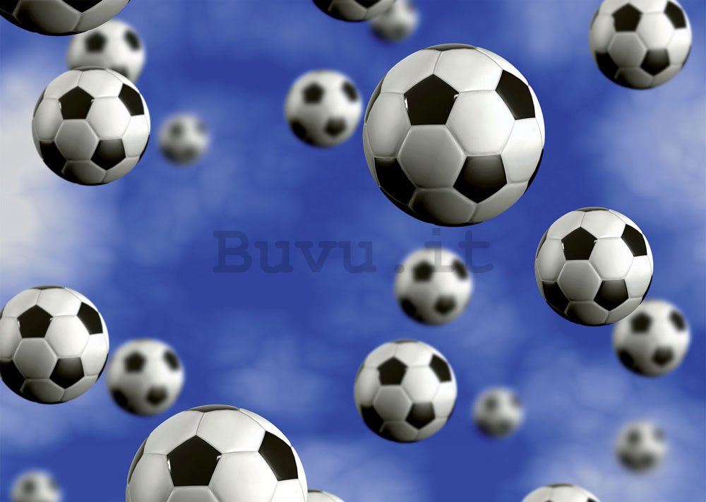 Fotomurale: Palloni da calcio - 184x254 cm