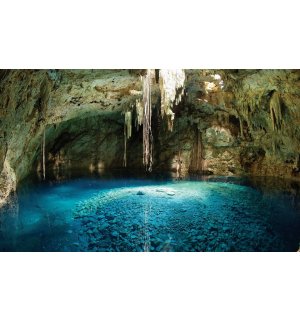 Fotomurale: Grotta (1) - 184x254 cm