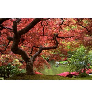 Fotomurale: Albero in fiore - 184x254 cm