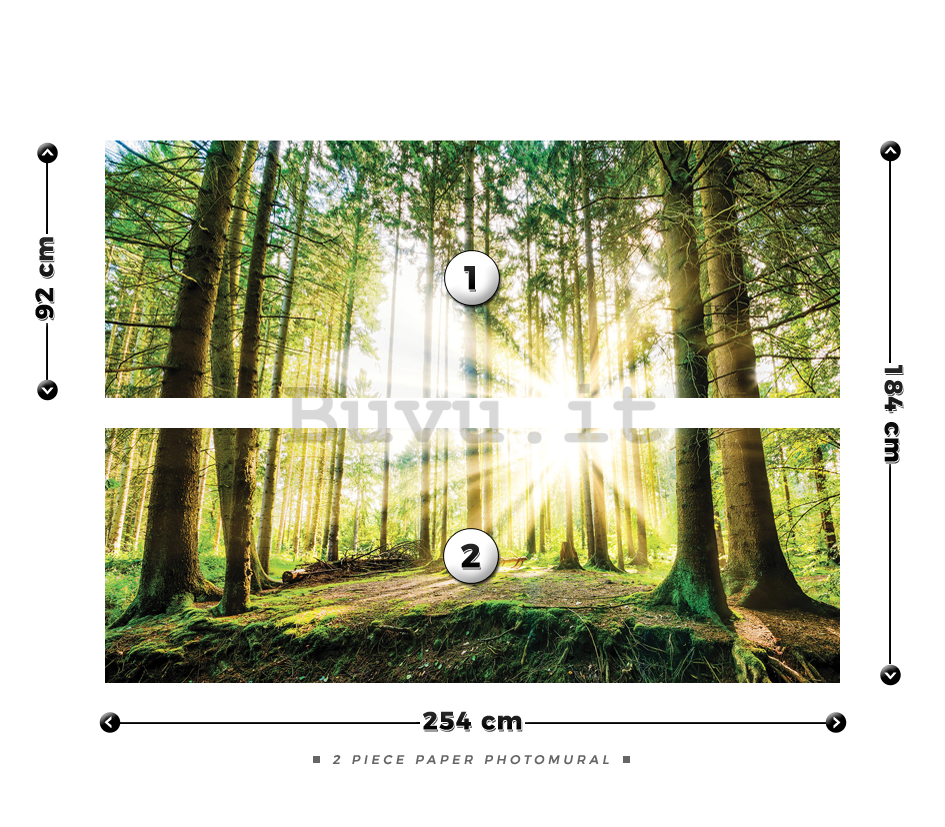 Fotomurale: Sole nel bosco (2) - 184x254 cm