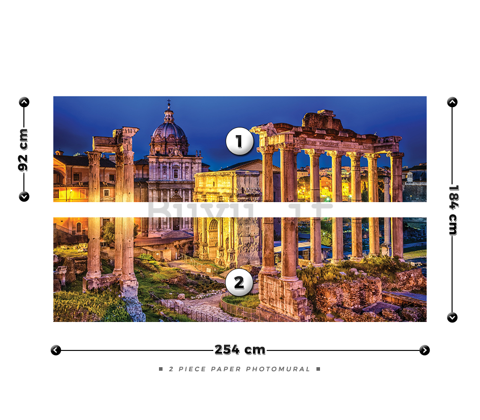 Fotomurale: Roma (Monumenti storici) - 184x254 cm