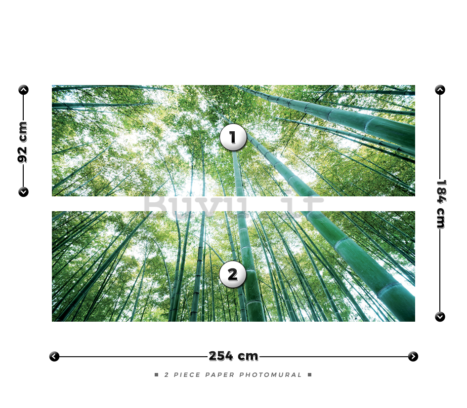 Fotomurale: Bosco di bambu - 184x254 cm